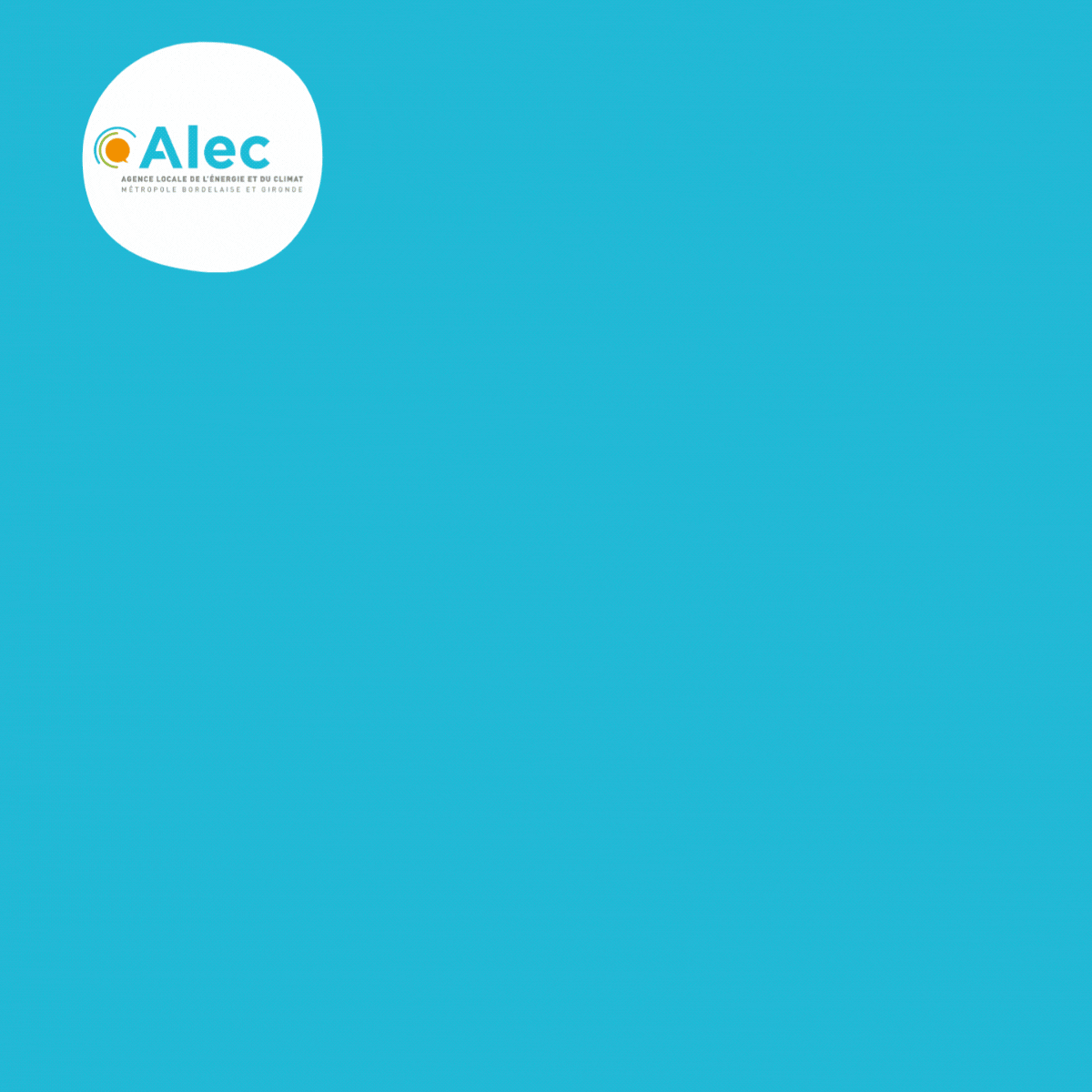 Nouvelle année 2026 ALEC (3)